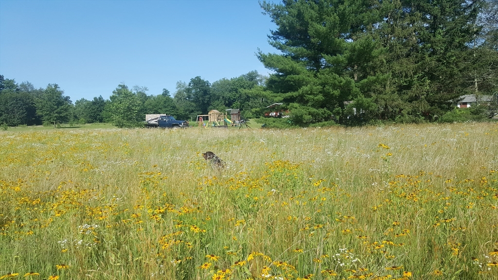 0 Depot Road Hatfield, MA 01038 - Photo 2 of 17 a view of a lake view