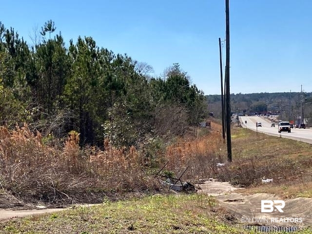 22000-block Highway 31 Flomaton, AL 36441 - Photo 3 of 20