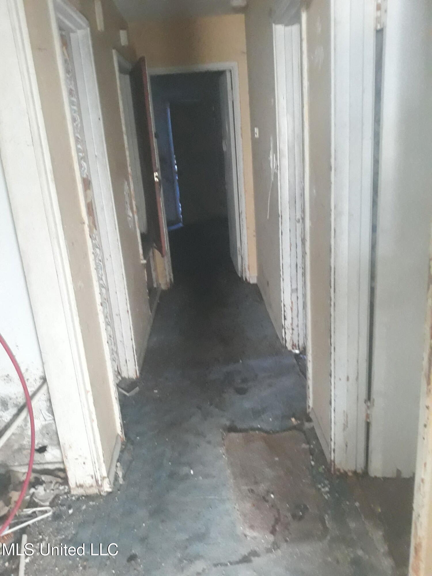 1676 Smallwood Street Jackson, MS 39212 - Photo 2 of 5 1676 smallwood cleaned up hallway