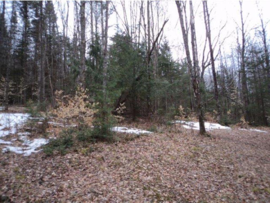 28 Spooner Road Topsham, VT 05086 - Photo 5 of 24 Gallery Image 5