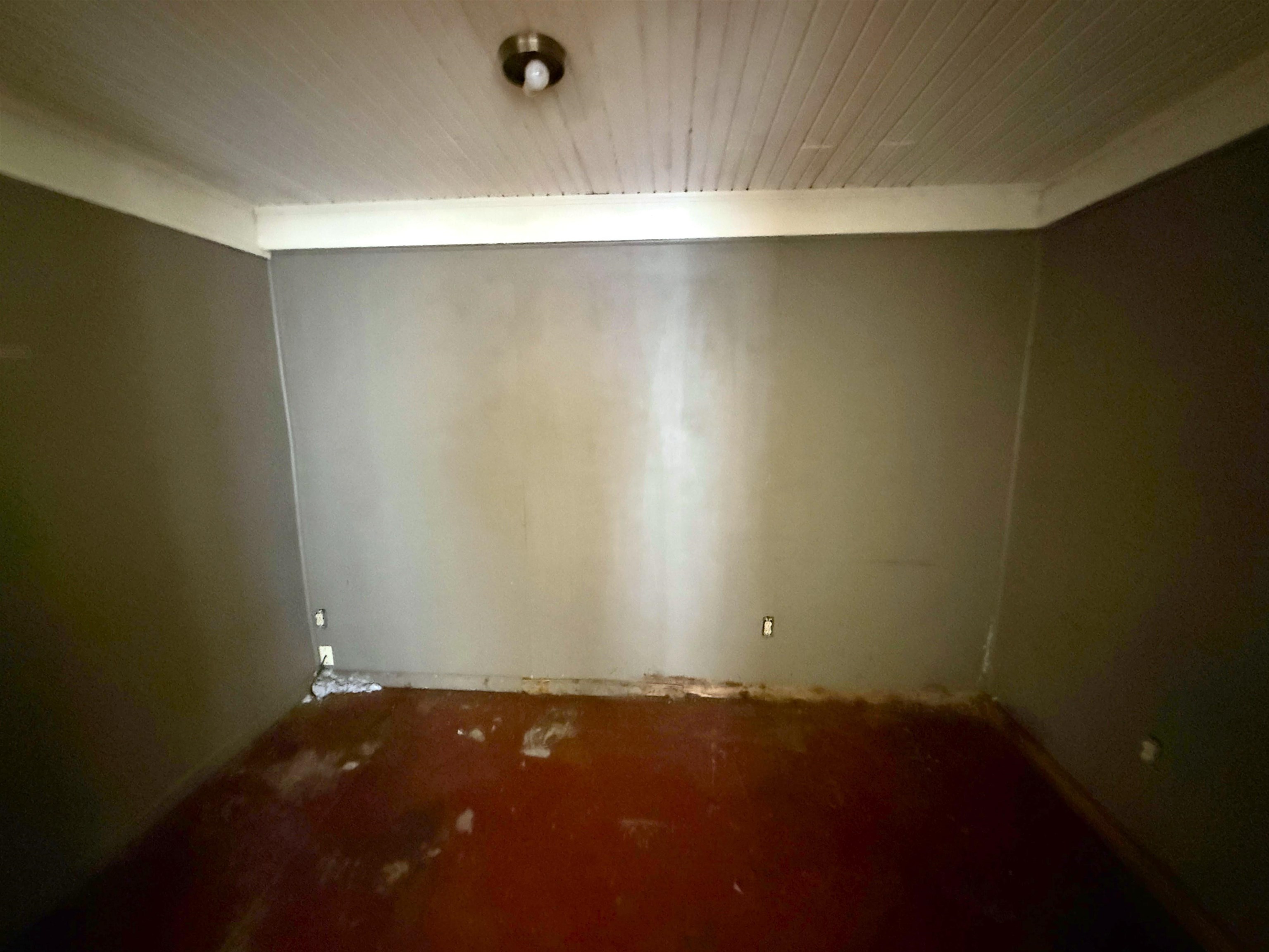 1229 Marlin Road Memphis, TN 38116 - Photo 17 of 20 Basement featuring wood ceiling and carpet