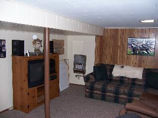 5720 East Dunbar Road Monroe, MI 48161 - Photo 12 of 16 Finished Basement