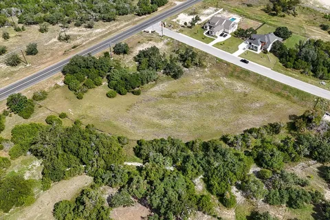 a view of a yard with a plant