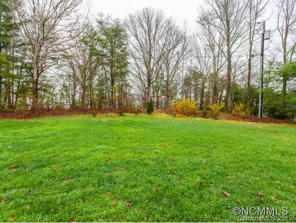 84 Hampton Road Leicester, NC 28748 - Photo 23 of 24 a view of a park with large trees