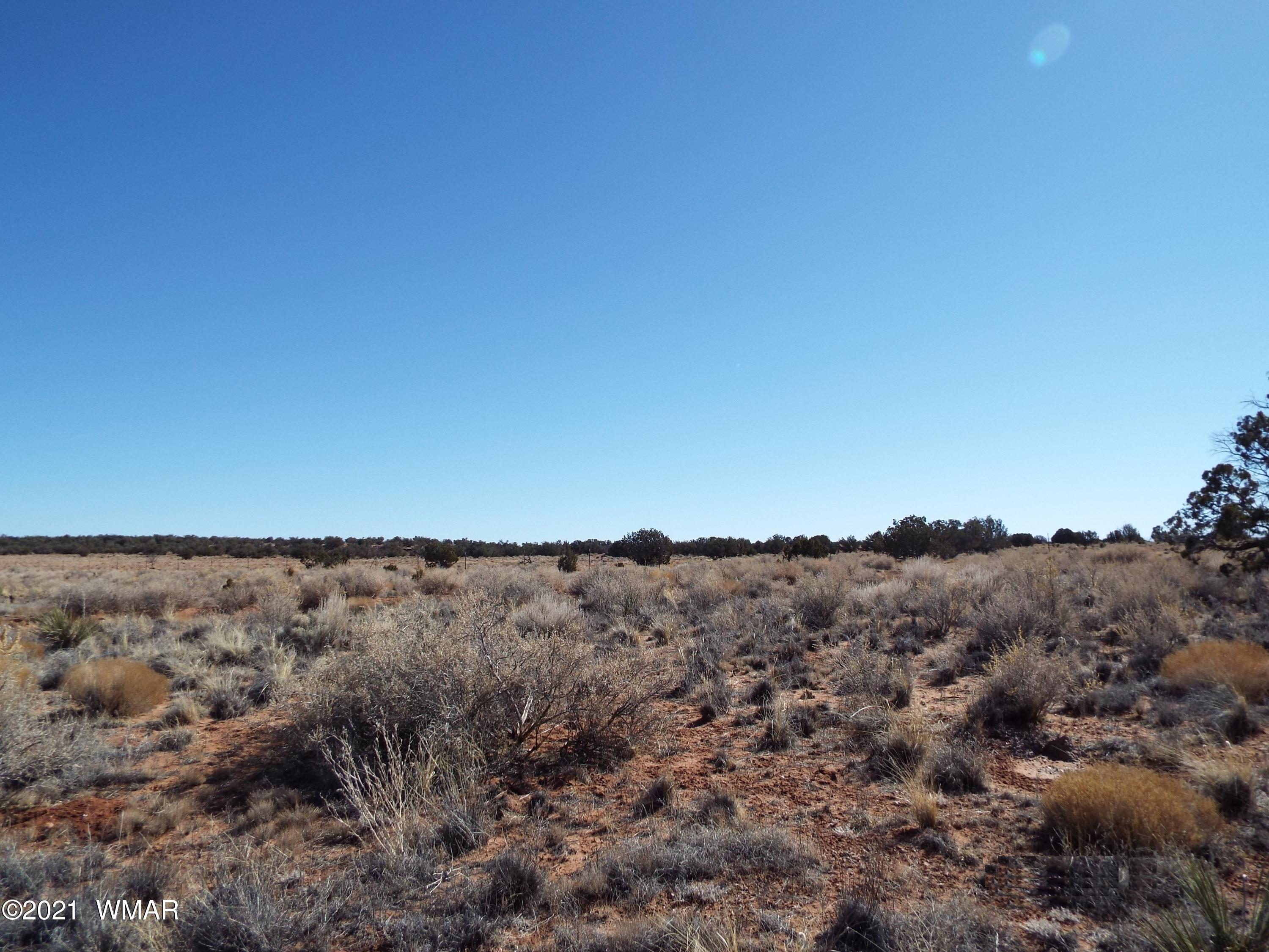 1242 Old Hunt Road Concho, AZ 85924 - Photo 21 of 25