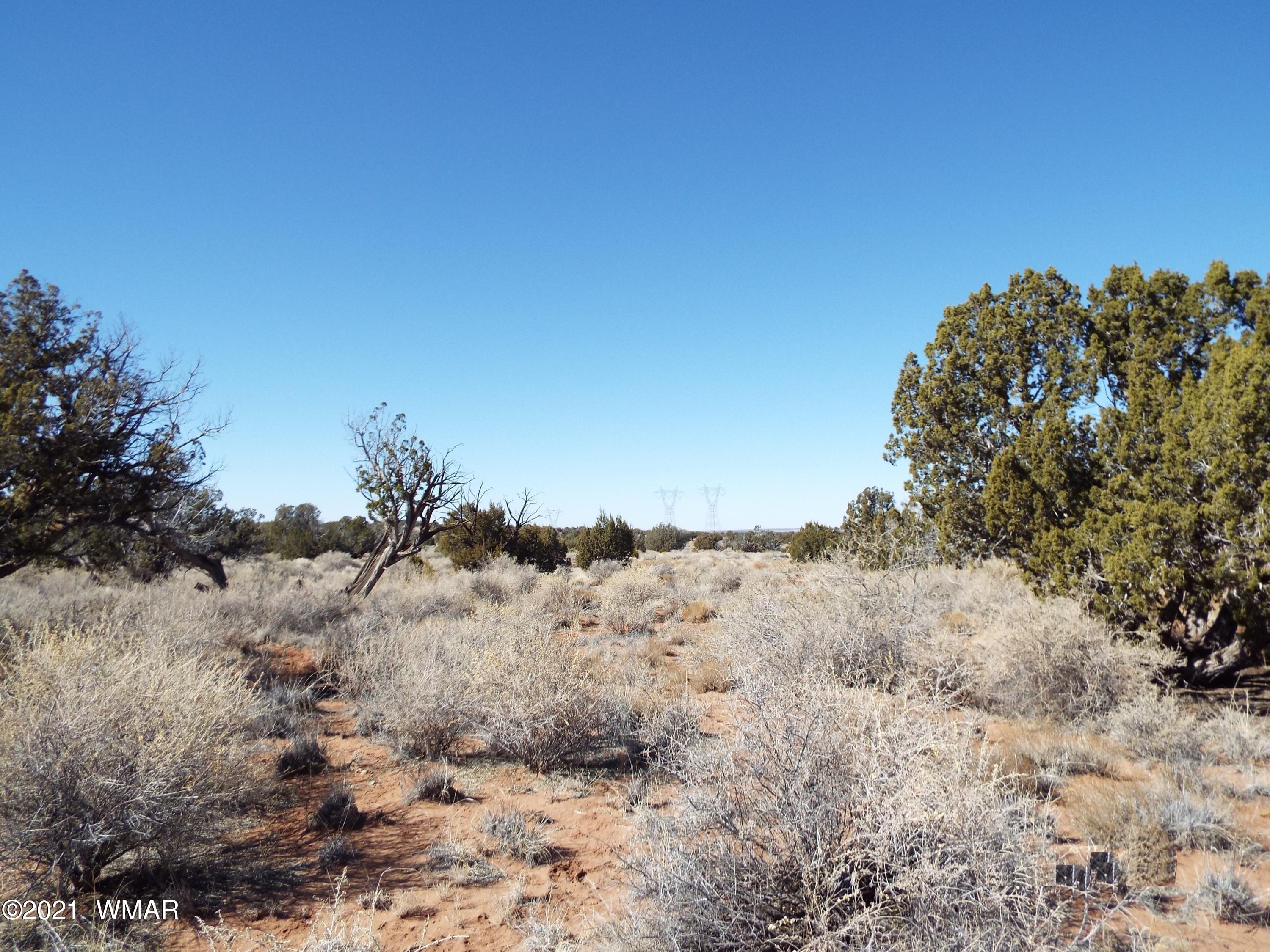 1242 Old Hunt Road Concho, AZ 85924 - Photo 22 of 25