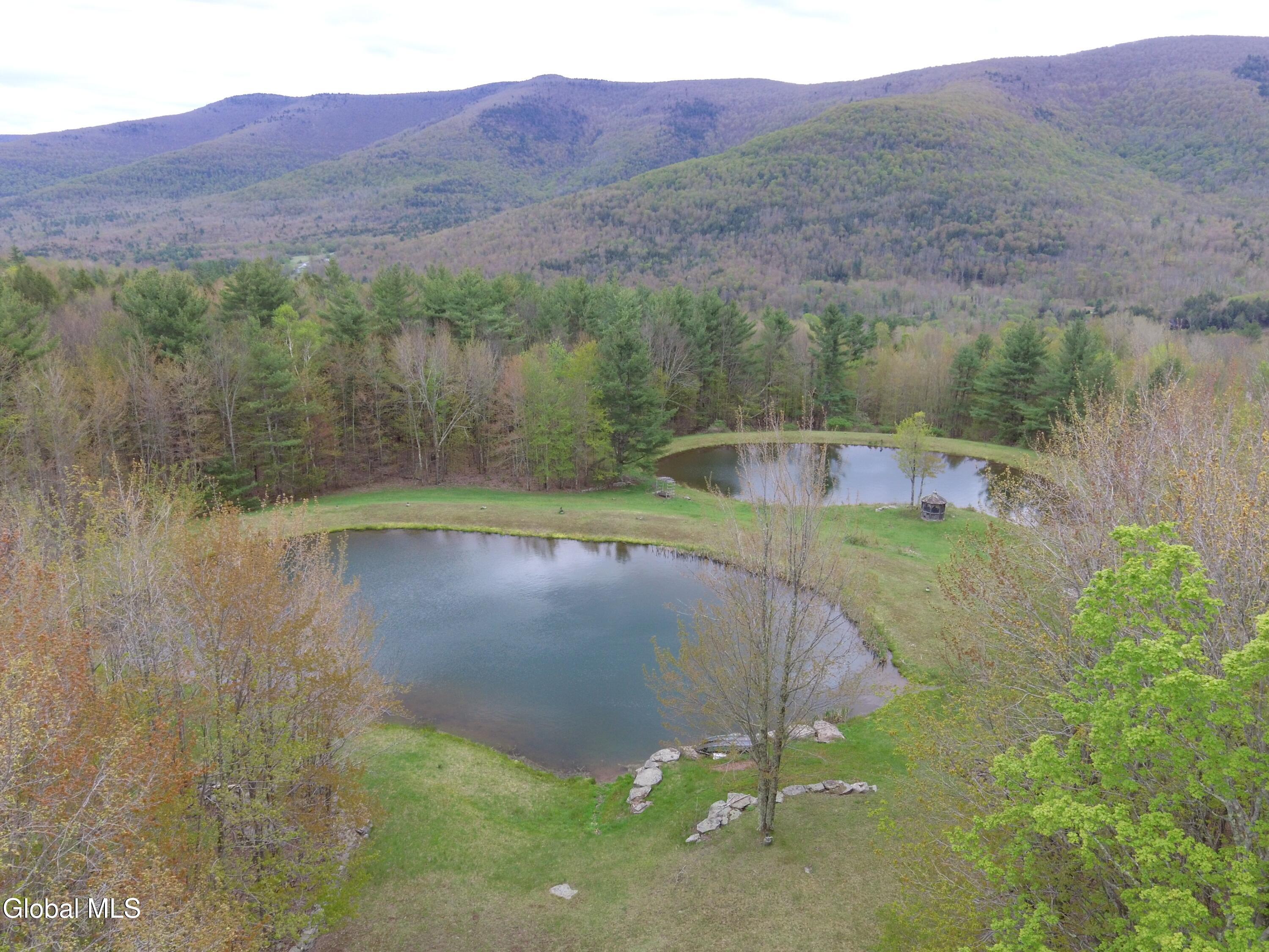 184 Cloos Road Hunter, NY 12442 - Photo 37 of 77 DJI_0080