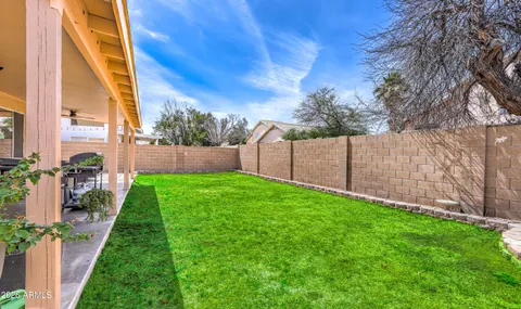 a view of yard with green space