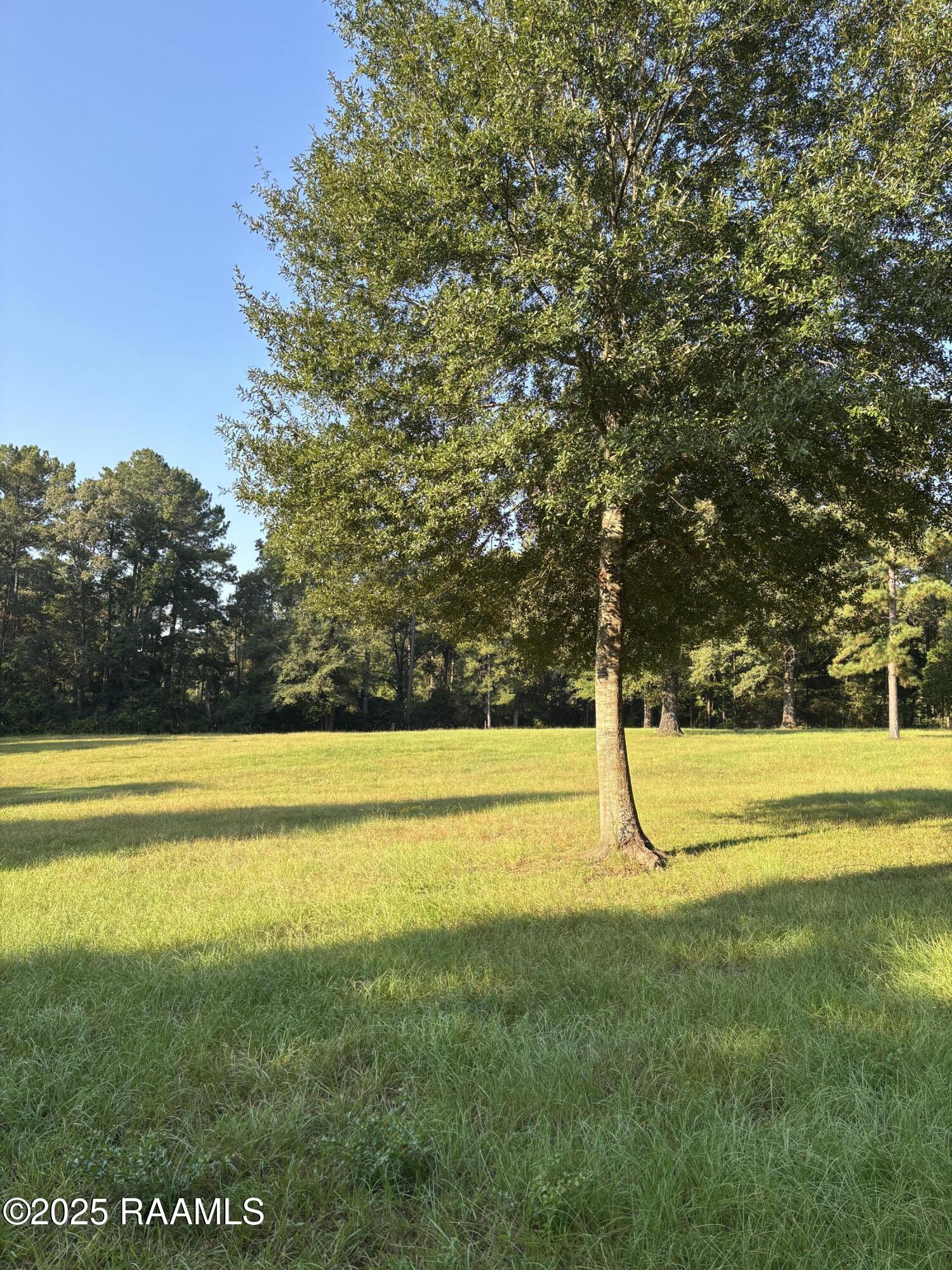 399 Ahtus Melder Road Forest Hill, LA 71430 - Photo 8 of 19