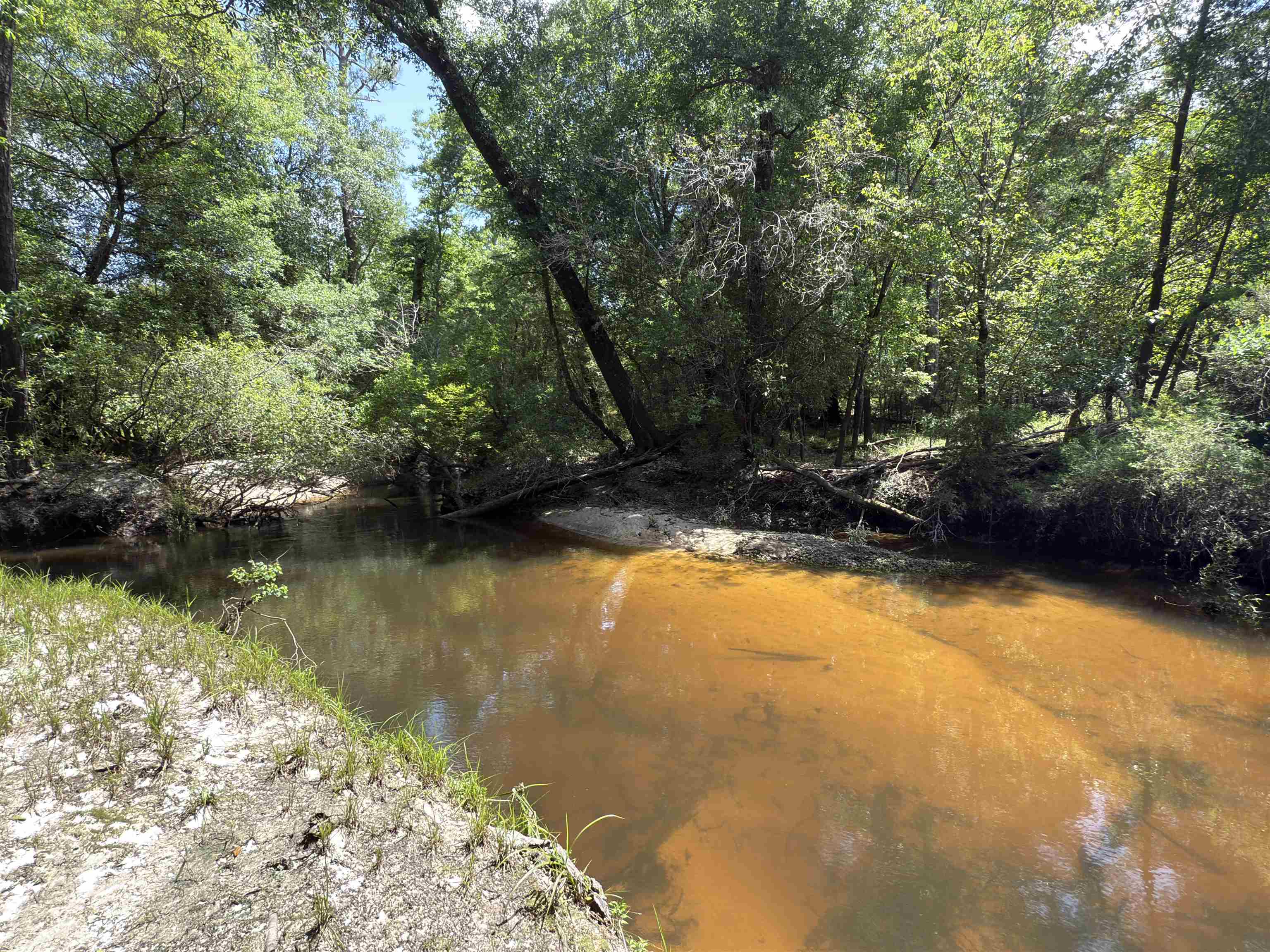 87 County Road 87 Elberta, AL 36530 - Photo 64 of 66