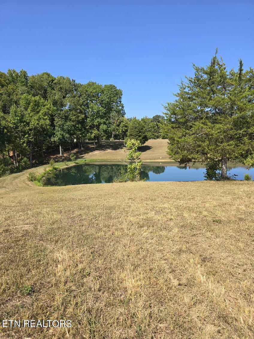 12-13 Harrison Ferry Road White Pine, TN 37890 - Photo 20 of 23 unnamed (1)
