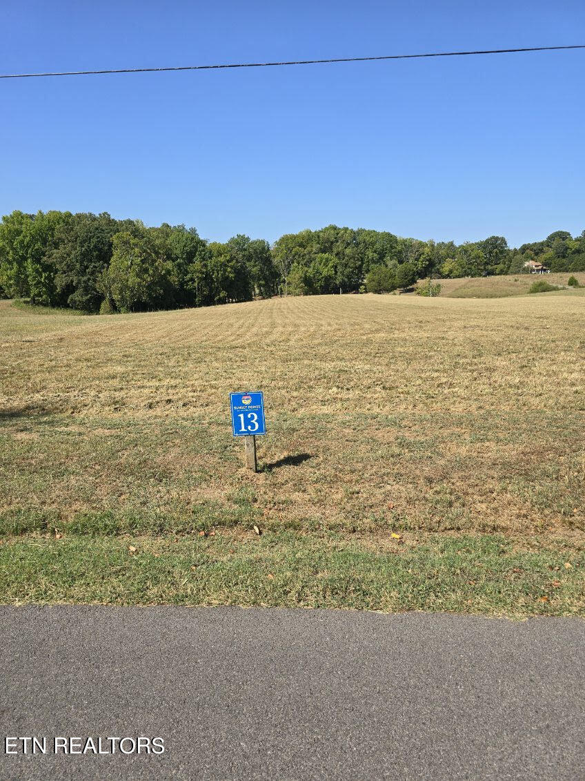 12-13 Harrison Ferry Road White Pine, TN 37890 - Photo 21 of 23 unnamed (2)