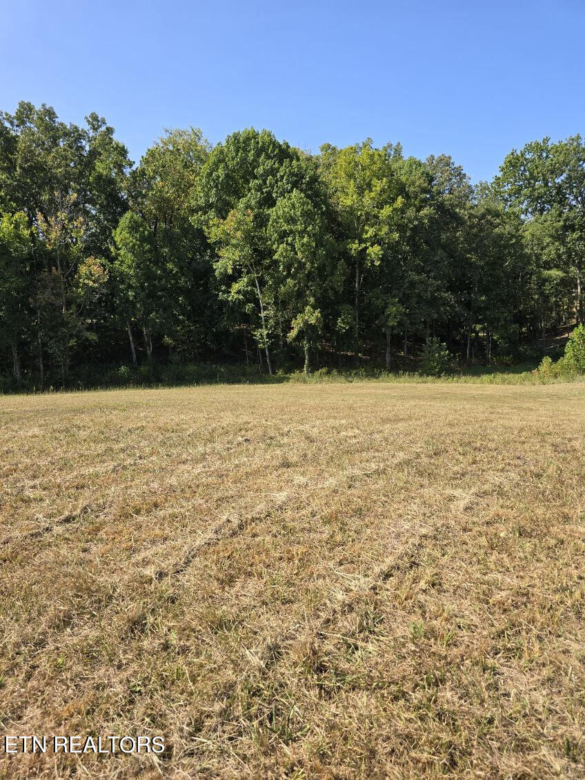 12-13 Harrison Ferry Road White Pine, TN 37890 - Photo 23 of 23 unnamed