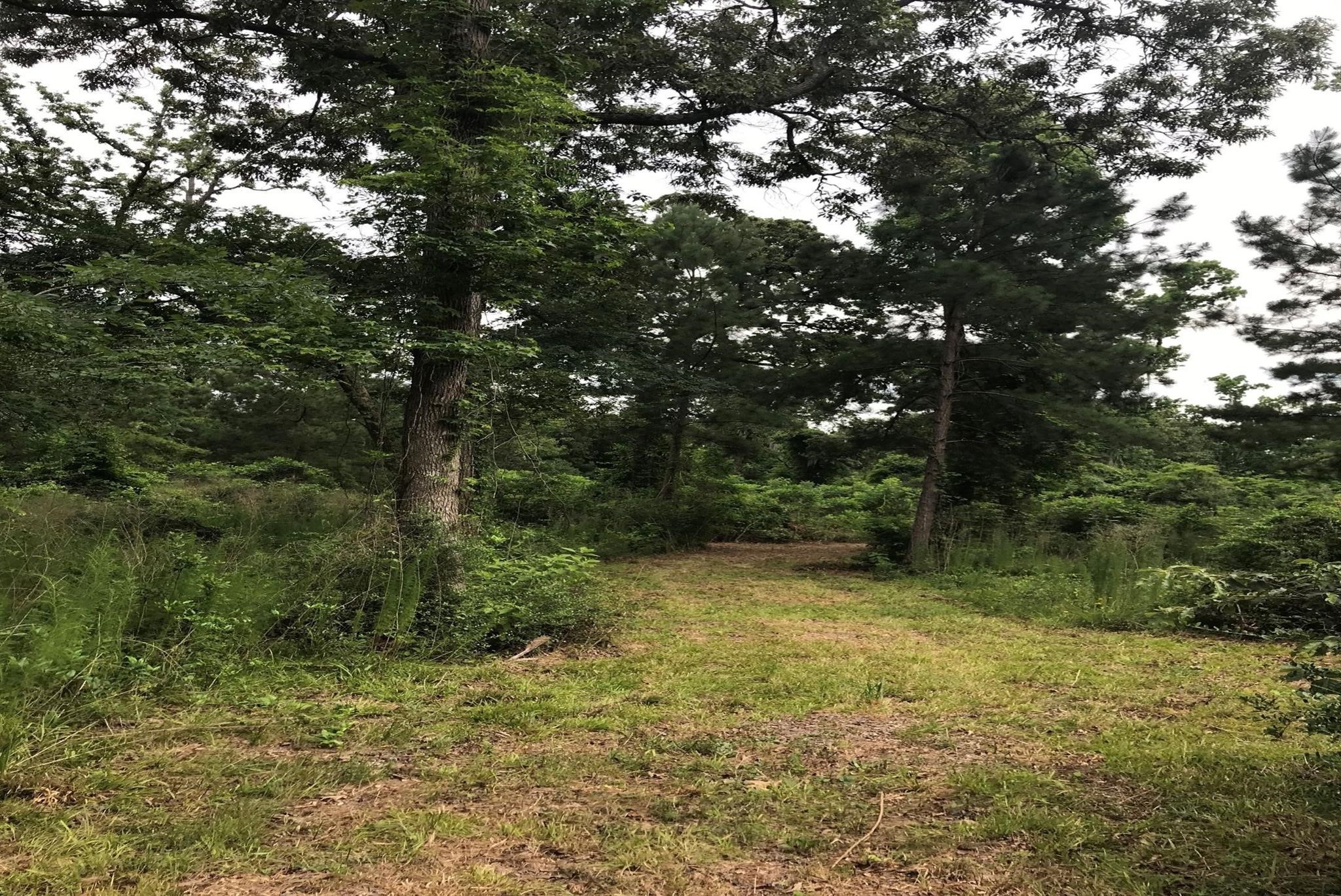 7.6  Acres of Serene Park-Like Land