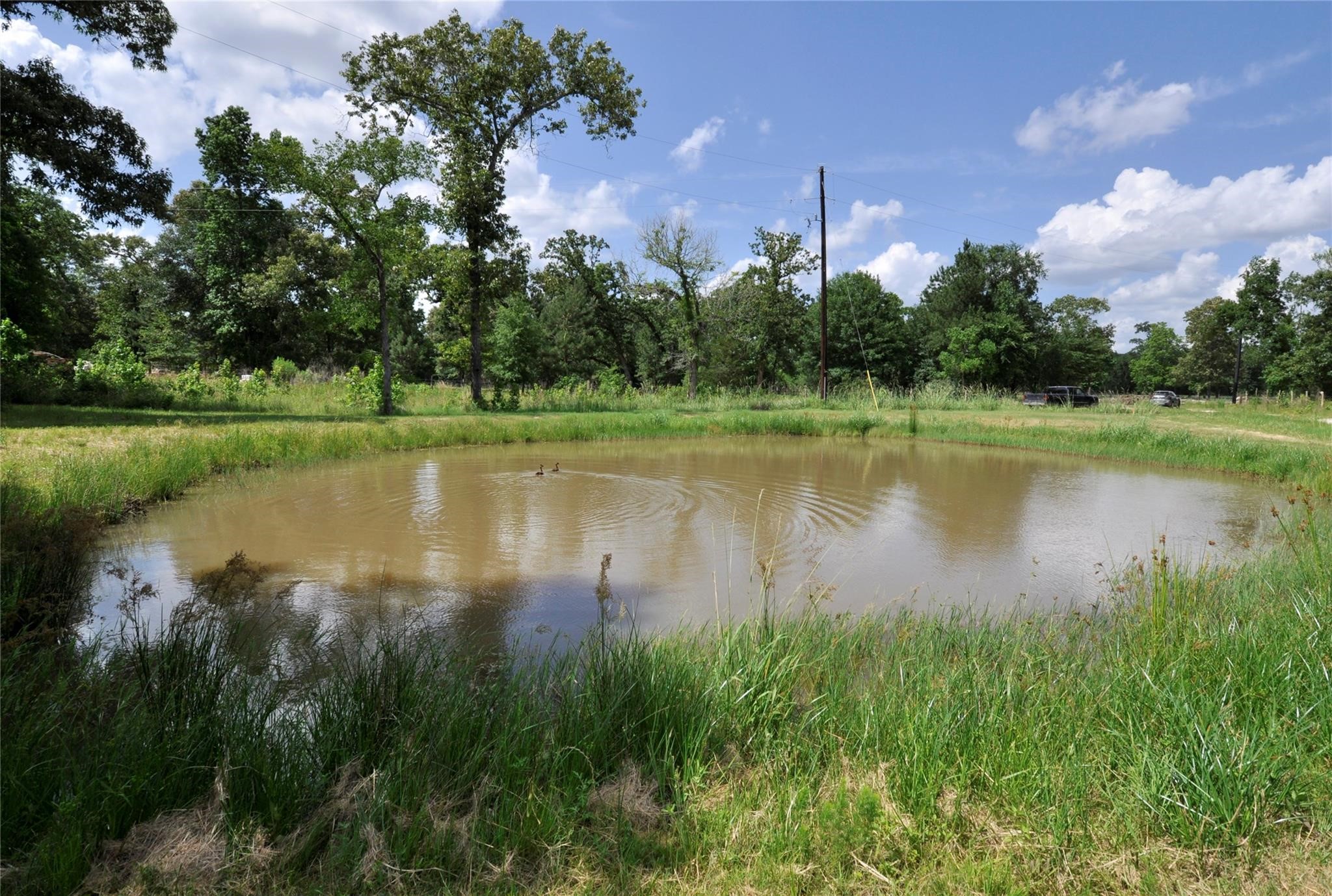 26150 Grand Pines Road Magnolia, TX 77355 - Photo 12 of 21 This is sold