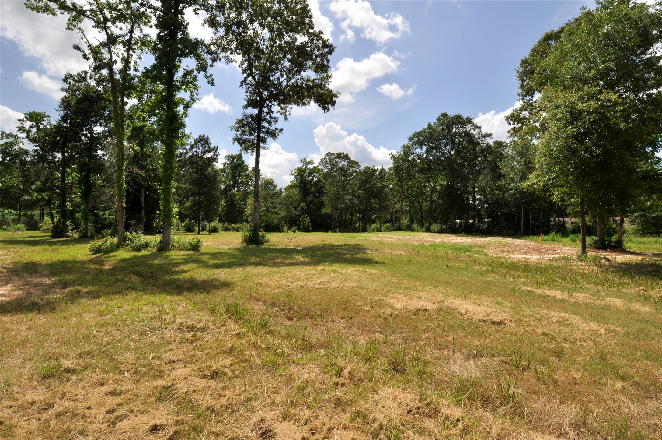 26150 Grand Pines Road Magnolia, TX 77355 - Photo 13 of 21 This is sold