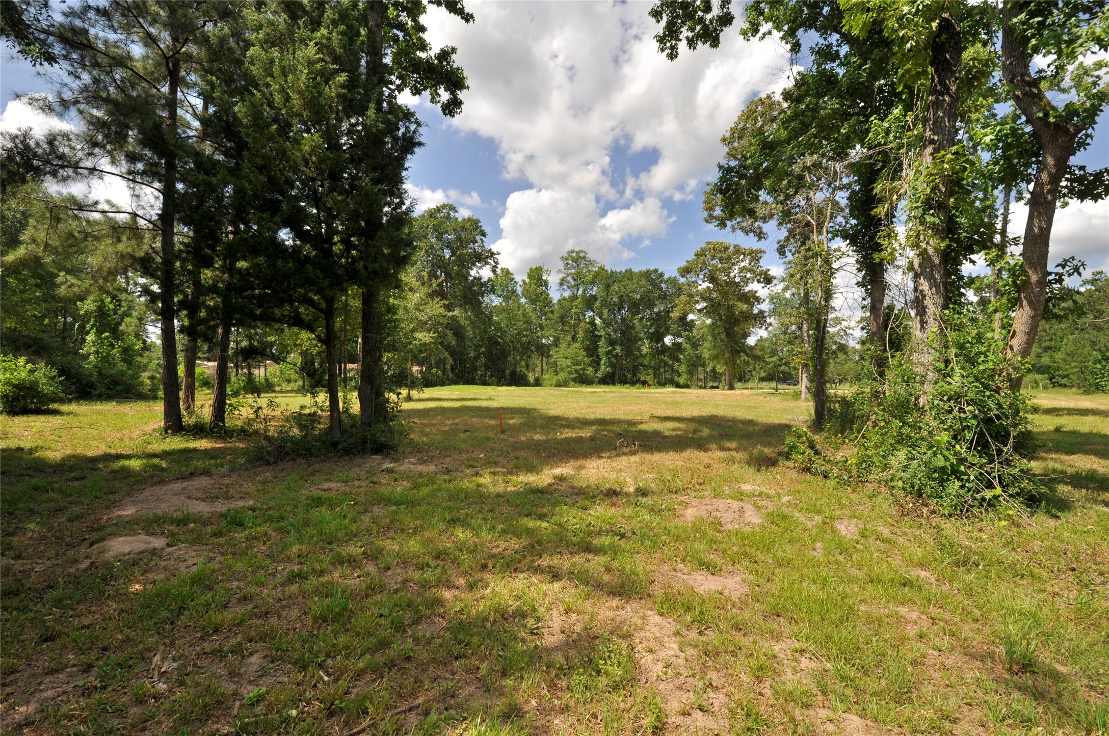 26150 Grand Pines Road Magnolia, TX 77355 - Photo 14 of 21 This is sold