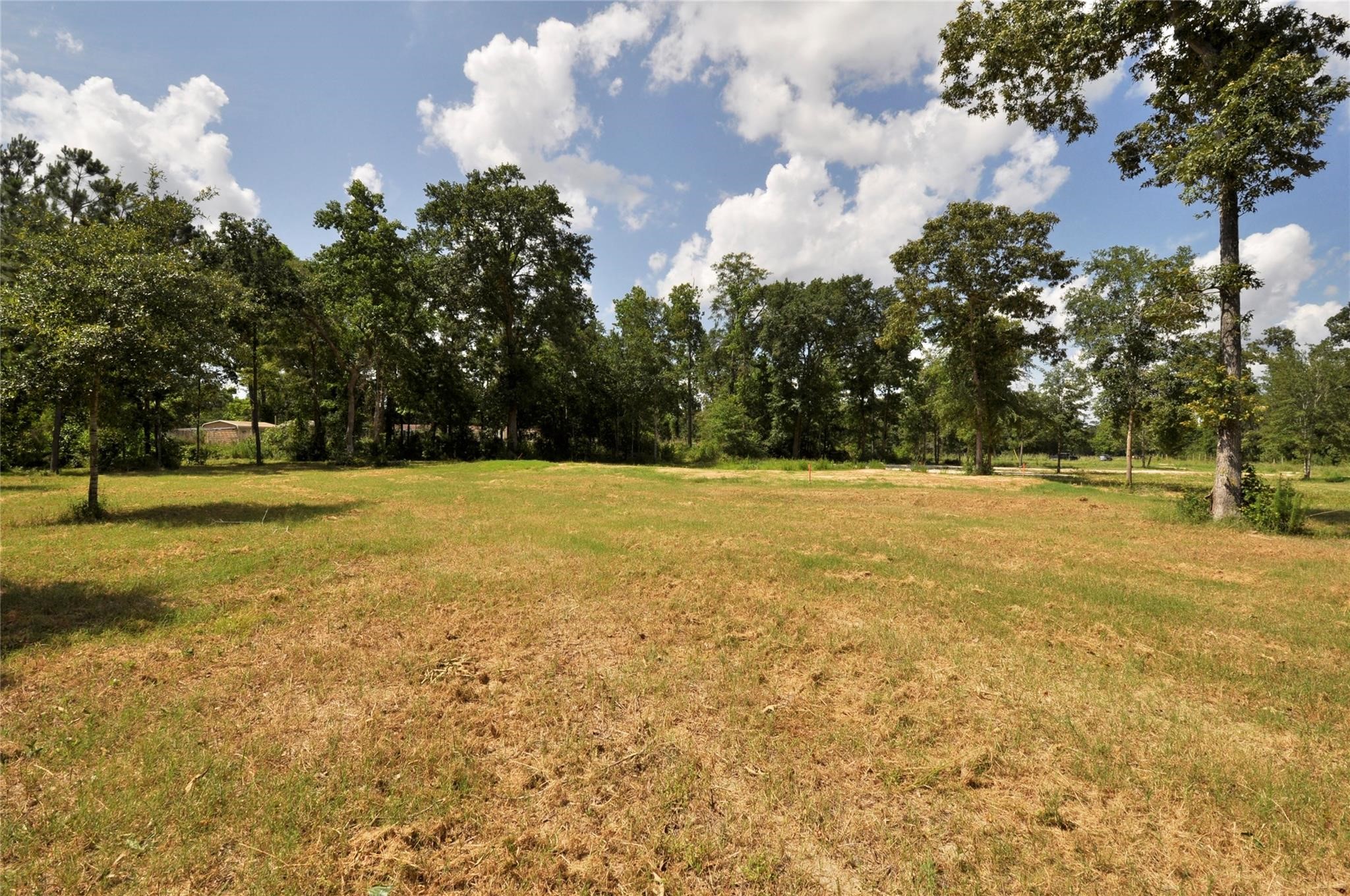 26150 Grand Pines Road Magnolia, TX 77355 - Photo 15 of 21 Some land is cleared