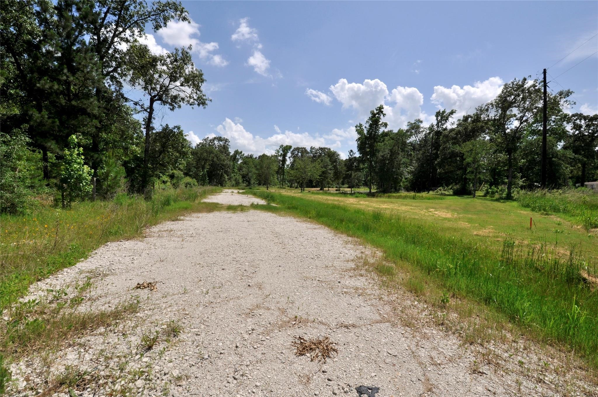 26150 Grand Pines Road Magnolia, TX 77355 - Photo 16 of 21 Road leading back to the property