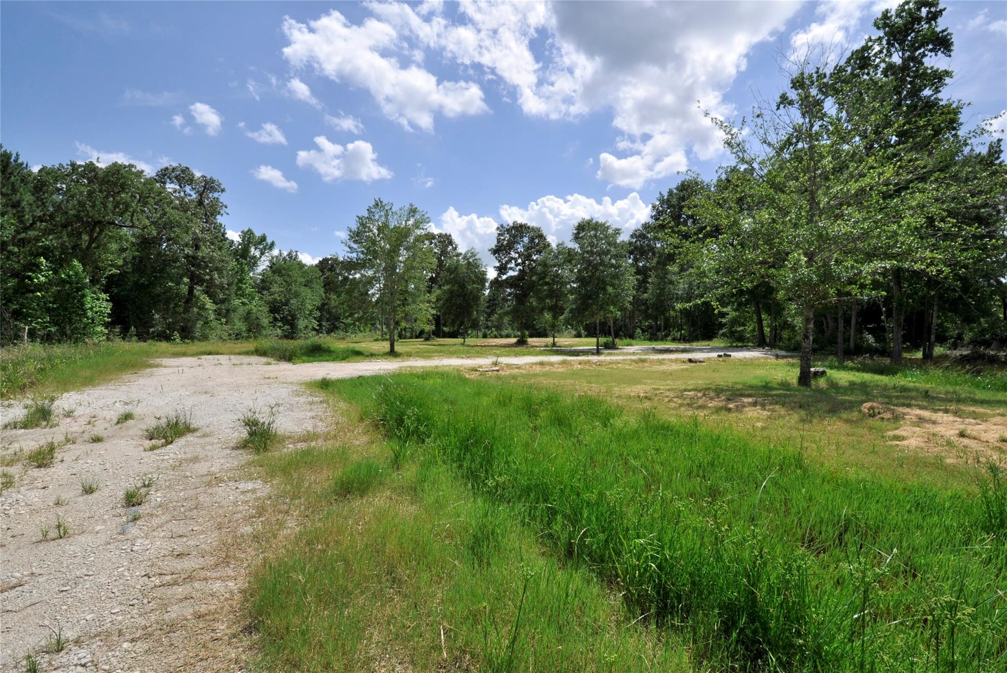 26150 Grand Pines Road Magnolia, TX 77355 - Photo 17 of 21 Private Road leading to the property
