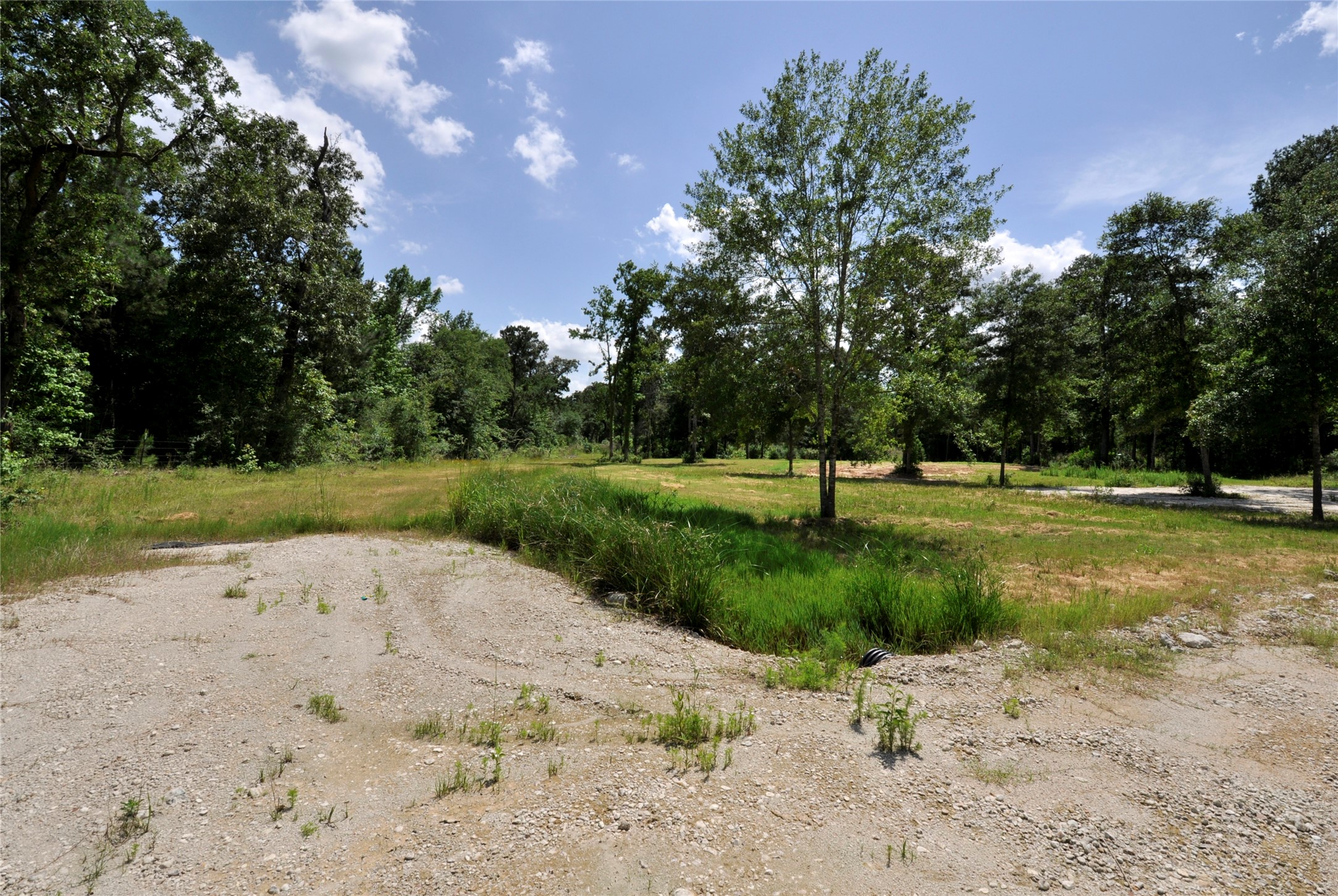 26150 Grand Pines Road Magnolia, TX 77355 - Photo 18 of 21 Tree custers