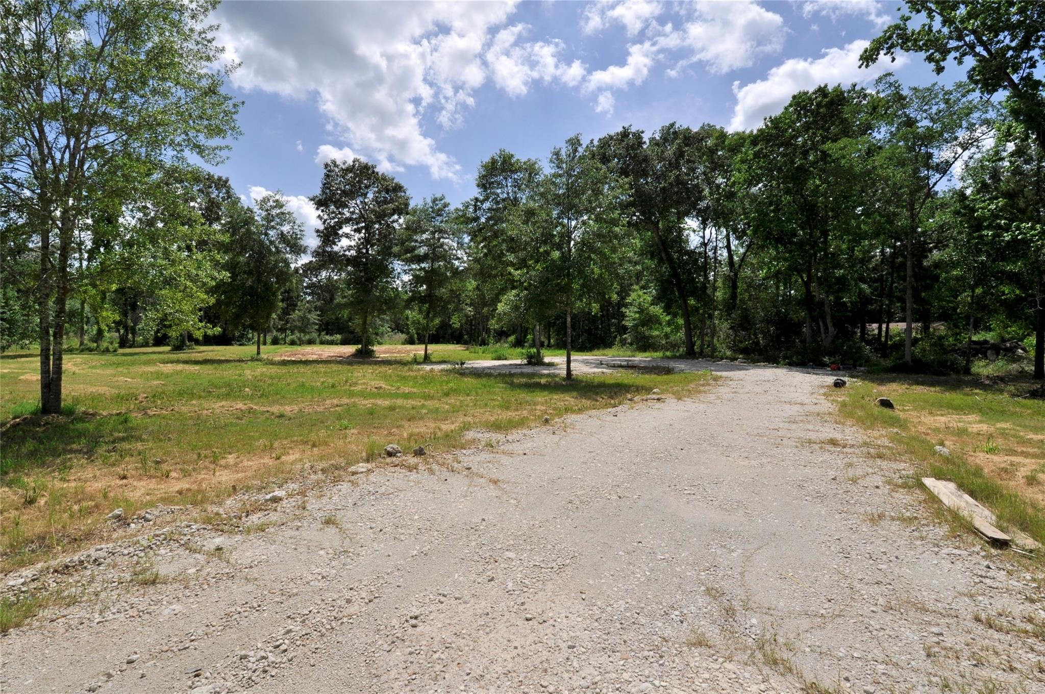 26150 Grand Pines Road Magnolia, TX 77355 - Photo 20 of 21 Trees line the road