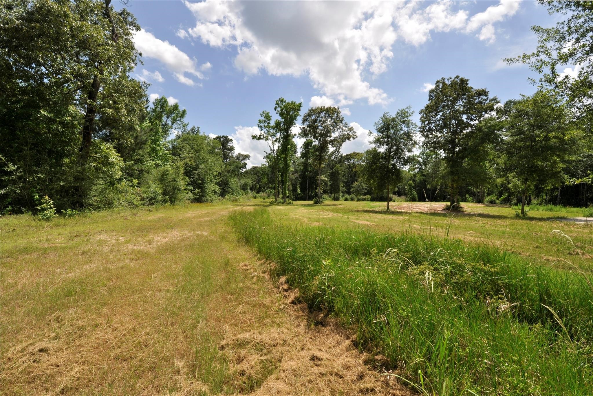 26150 Grand Pines Road Magnolia, TX 77355 - Photo 21 of 21 Lush Green Foliage and Grasses