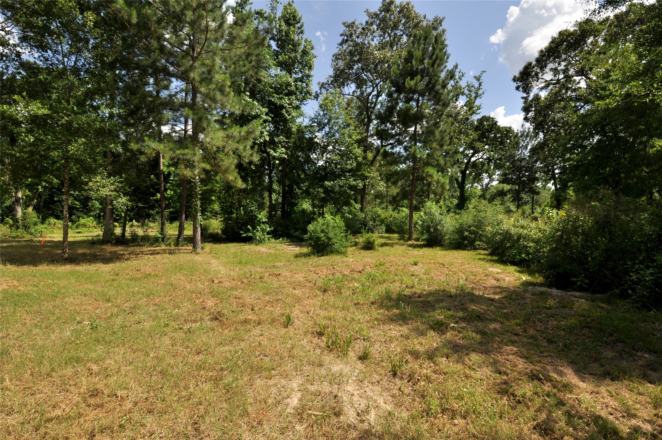 26150 Grand Pines Road Magnolia, TX 77355 - Photo 5 of 21 Room for wildlife