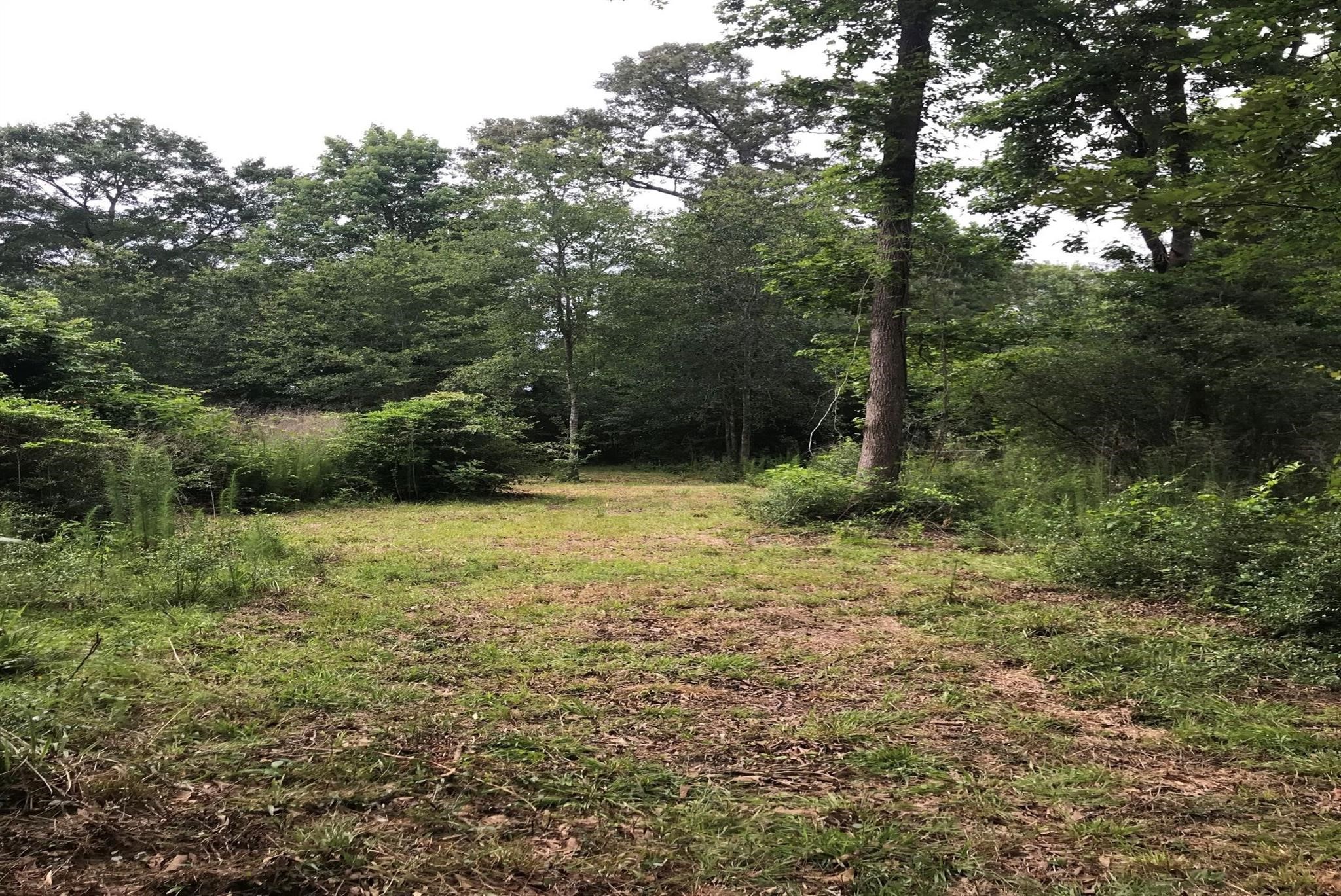 26150 Grand Pines Road Magnolia, TX 77355 - Photo 6 of 21 Build your home here