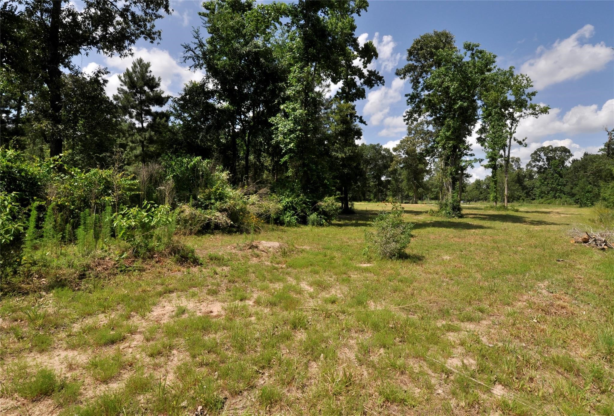 26150 Grand Pines Road Magnolia, TX 77355 - Photo 10 of 21 Rolling Land