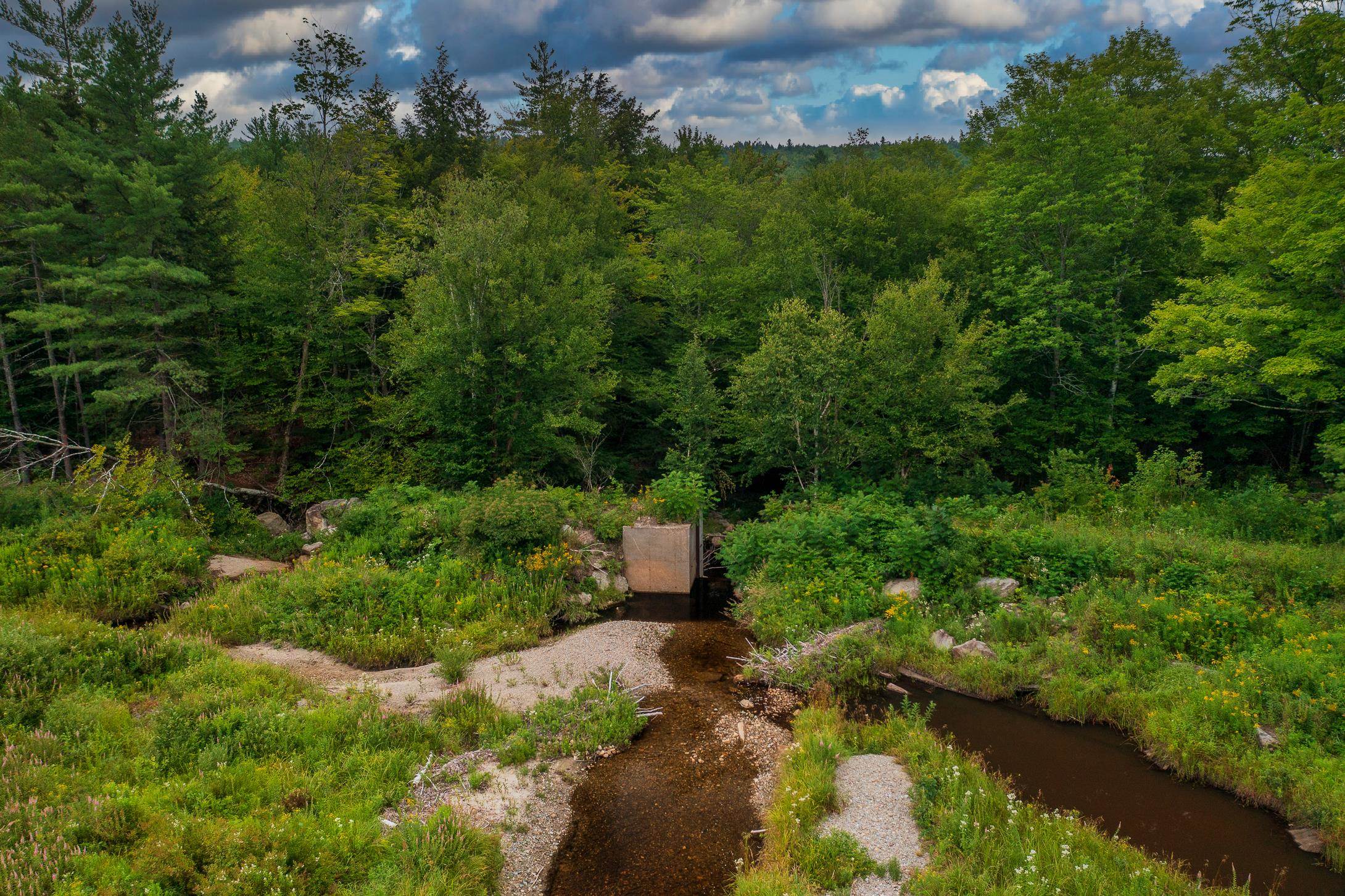 406 Rowentown Road Wentworth, NH 03282 - Photo 5 of 16