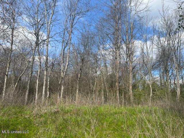 Townsend Road Mendenhall, MS 39114 - Photo 2 of 3 IMG_1785