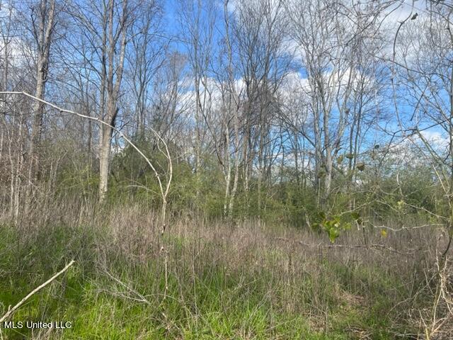 Townsend Road Mendenhall, MS 39114 - Photo 3 of 3 IMG_1787