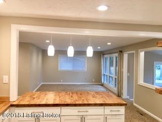 3105 Radiance Road Louisville, KY 40220 - Photo 12 of 32 FullSizeR_9