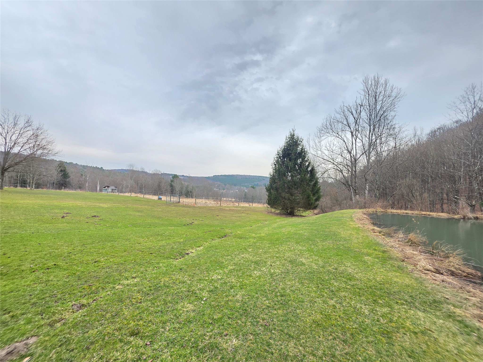 514 Crumtown Road Spencer, NY 14883 - Photo 34 of 49