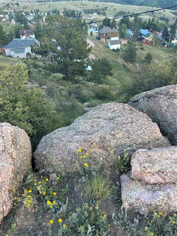 7th Street Victor, CO 80860 - Photo 4 of 6 a view of a bunch of trees and bushes