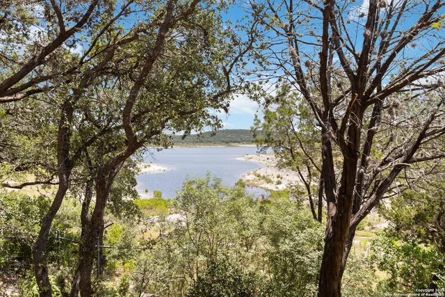 a view of lake from a tree