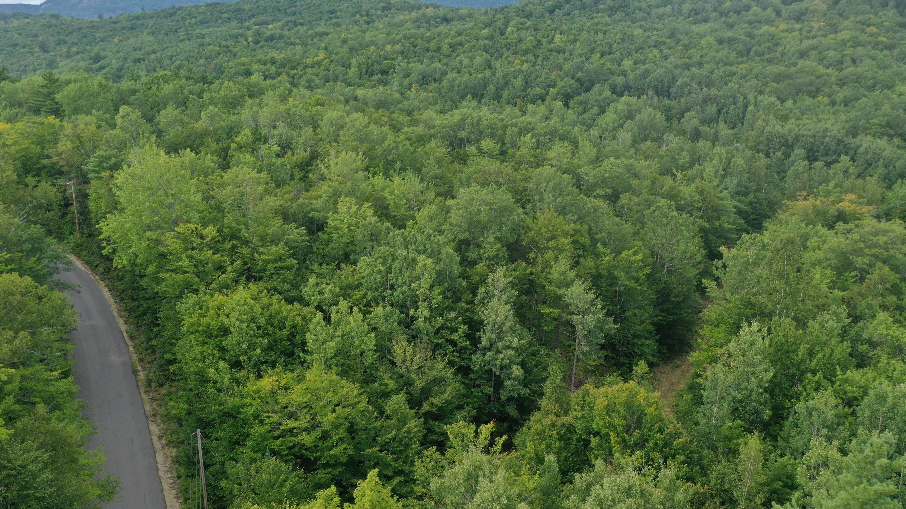 377 B Redding Road Sumner, ME 04292 - Photo 17 of 31 DJI_0869
