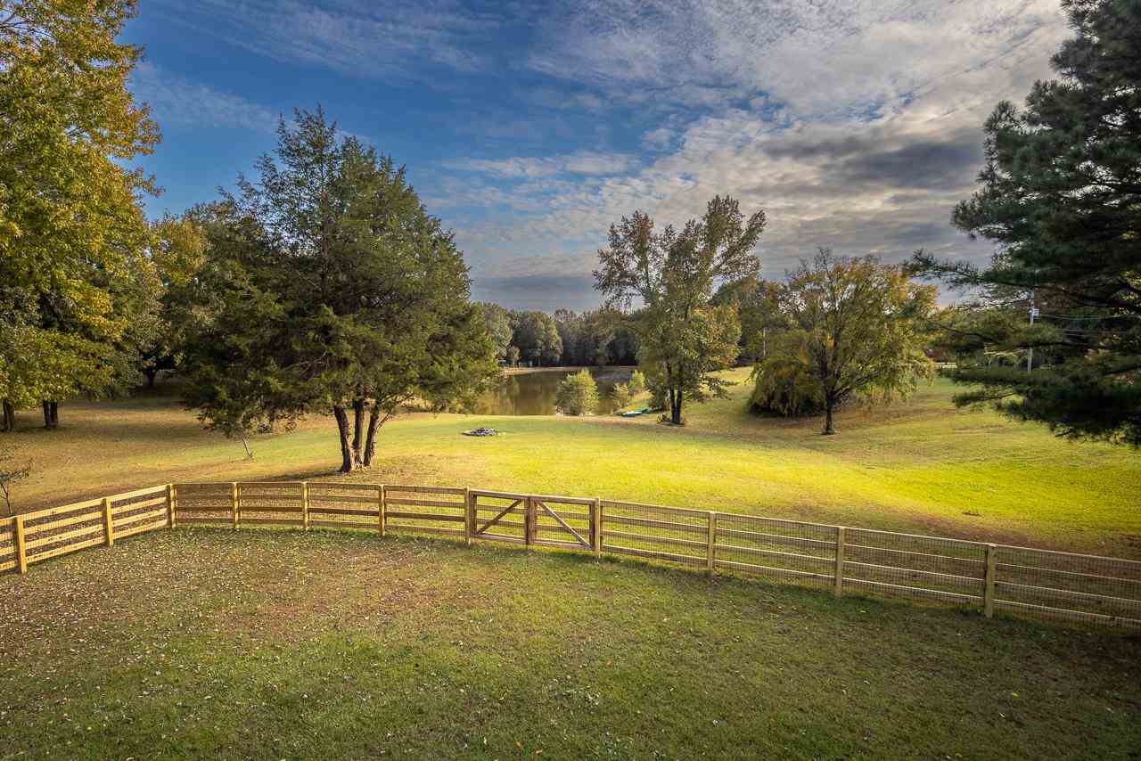 8461 Craven Road Bartlett, TN 38002 - Photo 23 of 25 Yard with view of lake