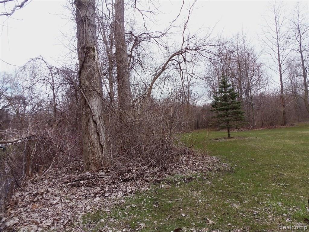 41005 Judd Road Belleville, MI 48111 - Photo 7 of 18