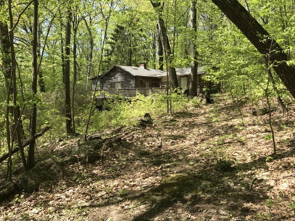 81 Kent Hollow Road Kent, CT 06785 - Photo 1 of 1 a backyard of a house with lots of green space