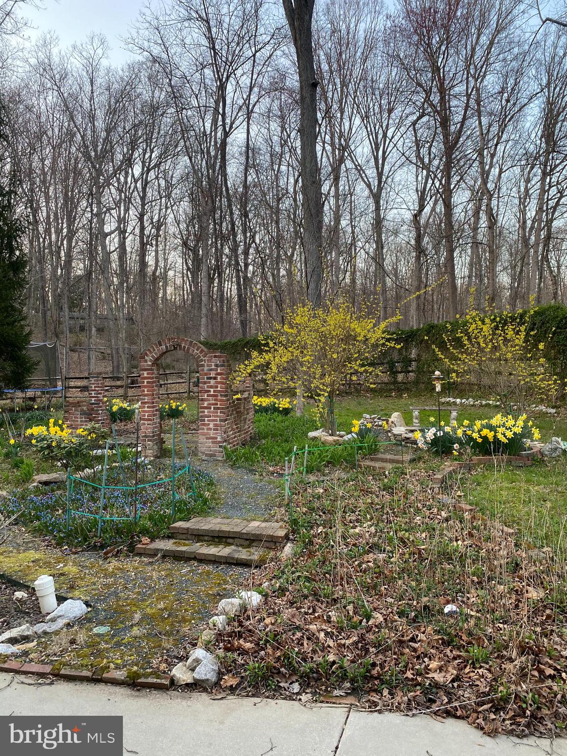 12222 Benson Branch Road Ellicott City, MD 21042 - Photo 40 of 67 rear garden in late-Feb/early March