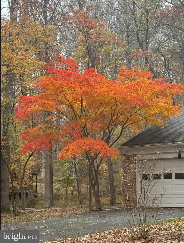 12222 Benson Branch Road Ellicott City, MD 21042 - Photo 41 of 67