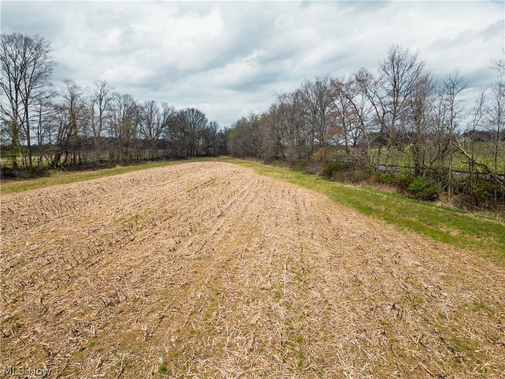 Steiner Road Sterling, OH 44276 - Photo 21 of 22
