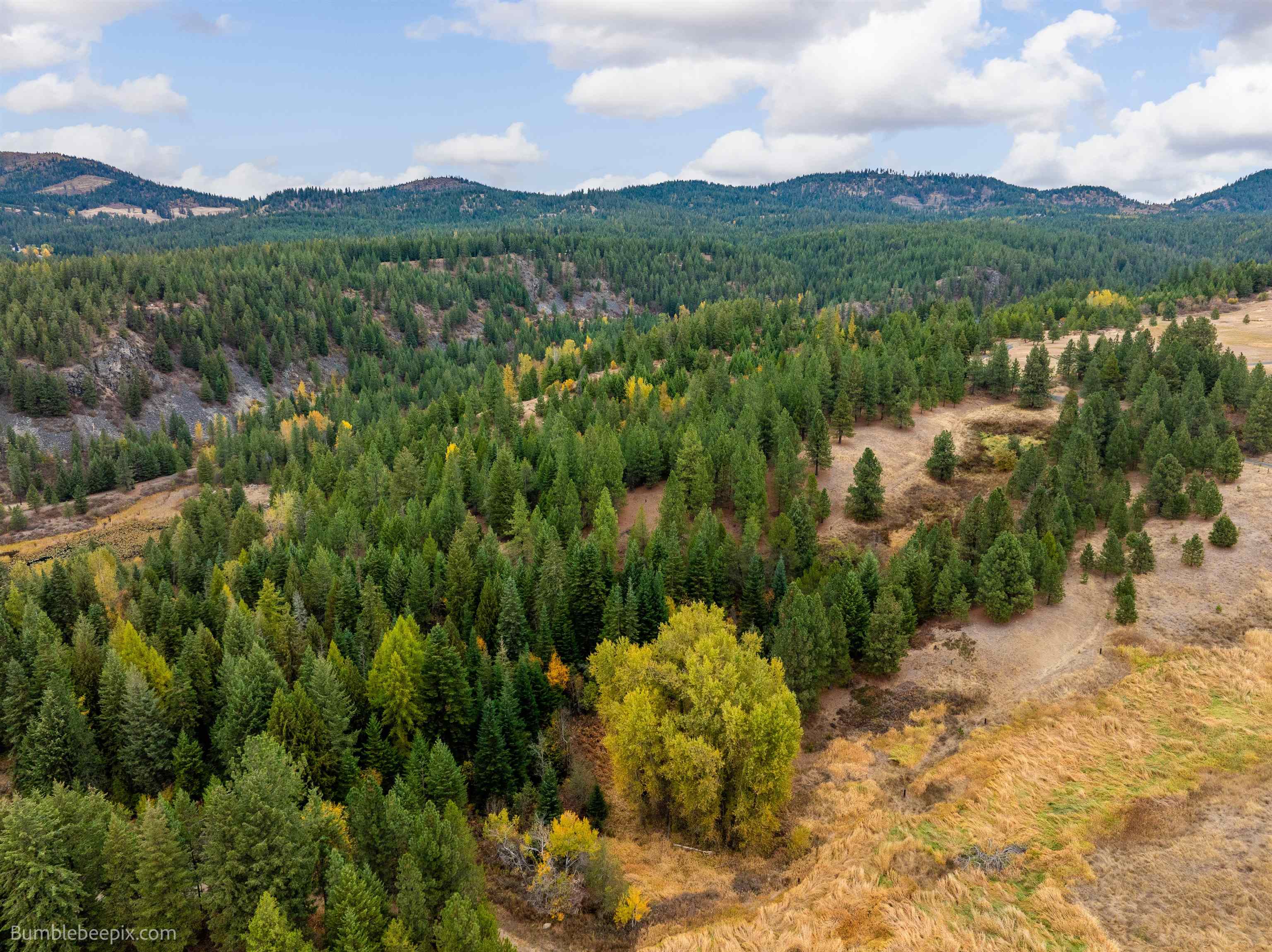 Xx North Xx N Chain Lake Road Elk, WA 99009 - Photo 21 of 21