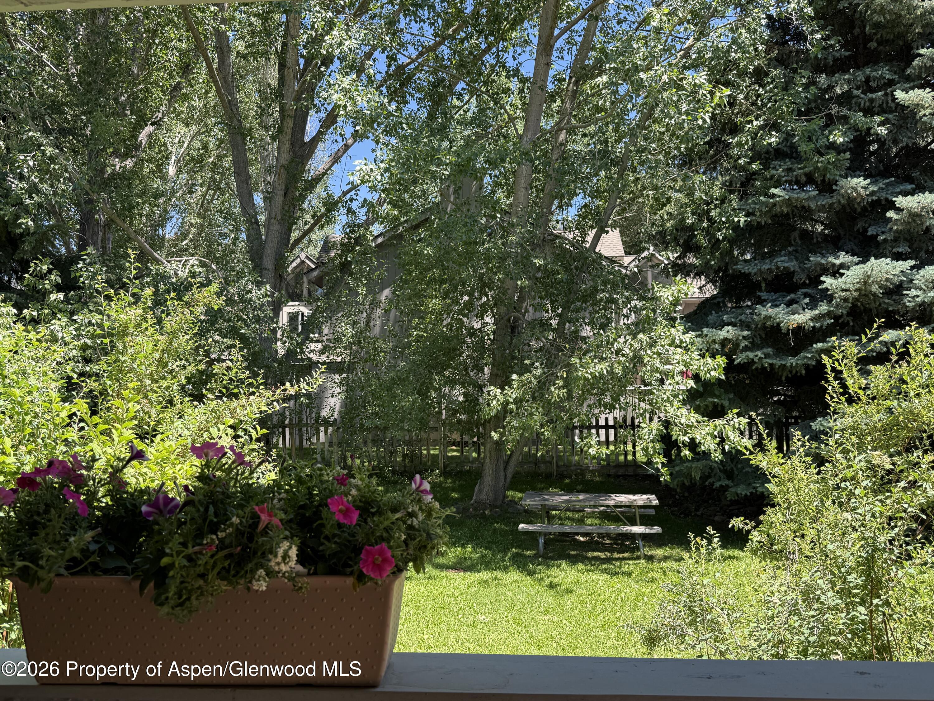 3102 Elk Lane Basalt, CO 81621 - Photo 12 of 13 Open Green Area