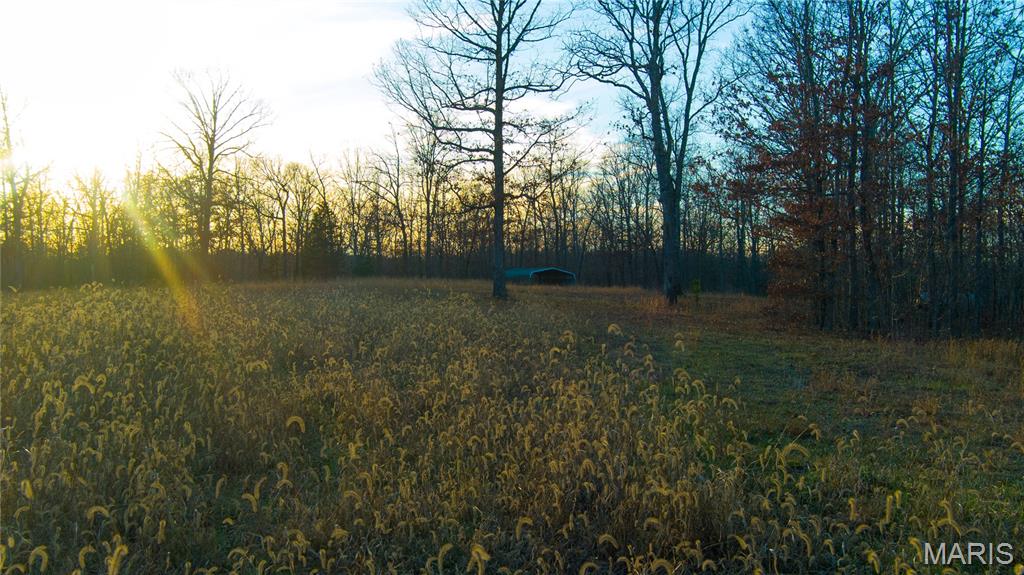 0 County Road 385 Hartshorn, MO 65479 - Photo 11 of 19