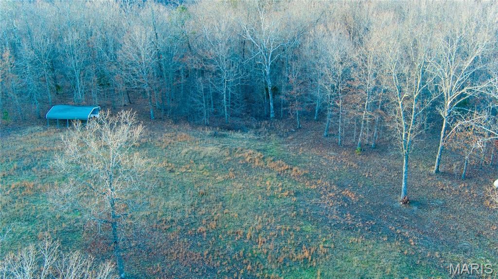 0 County Road 385 Hartshorn, MO 65479 - Photo 12 of 19