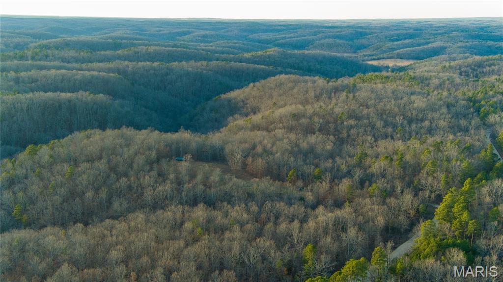 0 County Road 385 Hartshorn, MO 65479 - Photo 13 of 19