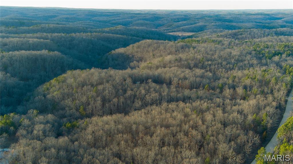 0 County Road 385 Hartshorn, MO 65479 - Photo 14 of 19